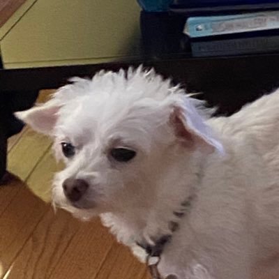 Profile Picture of Vince (@VinceOwen4) on Twitter