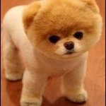 Profile Picture of Lucy Mesa (@lucy.mesa.de.fierro) on Instagram