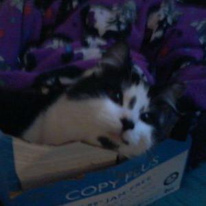 Profile Picture of Gillian Ritchie (@243f9b5b26d041a) on Twitter