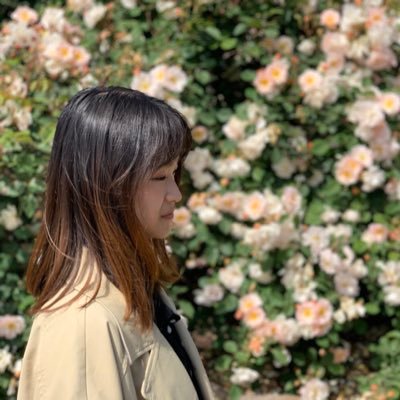 Profile Picture of Ziyu Li (@ZiyuLi14) on Twitter