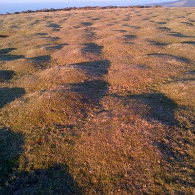 Profile Picture of ChrisHutchings (@ChrisHutchings7) on Twitter