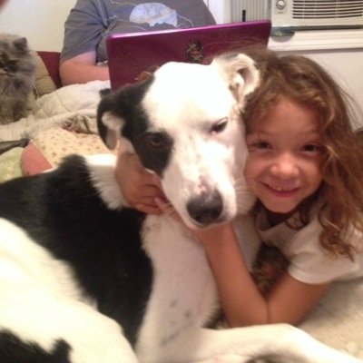 Profile Picture of Andrew Magill (@krammit71) on Twitter