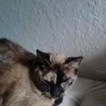 Profile Picture of BRIAN HERRING (@herring7678) on Instagram