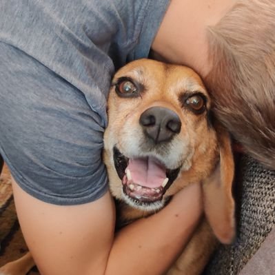 Profile Picture of Justin Jackman (@JustJackman66) on Twitter