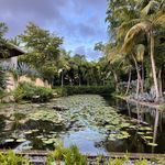 Profile Picture of Debbie Pintor Chervinko (@2424dhc) on Instagram