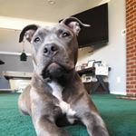 Profile Picture of BELLA (@bella.chavez123_) on Instagram