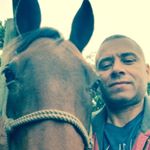 Profile Picture of Brian Andrews (@ba_survives) on Instagram