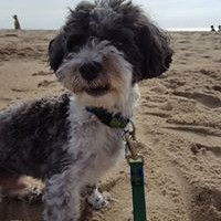 Profile Picture of Sean Tully (@sean-tully-9) on Quora