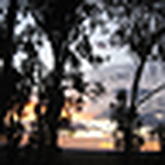 Profile Picture of Stacey in Oz (@Stacey in Oz) on Flickr