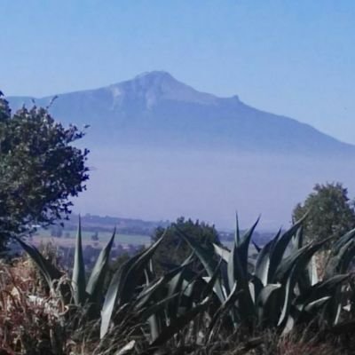 Profile Picture of Gabriel Gómez Calva (@leticiaGomCal) on Twitter