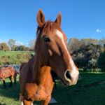 Profile Picture of Bailey Gallagher (@xbaileygallagherx) on Instagram