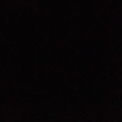 Winter Anderson - Youtube Profile Picture of Winter Anderson (@winteranderson1120) on Youtube