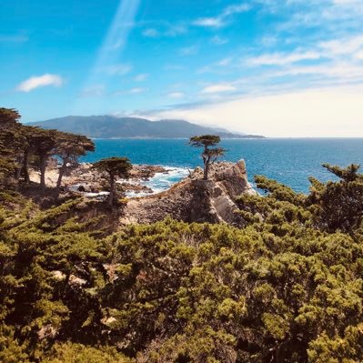 Profile Picture of Danielobyrne (@dobyrne2) on Twitter