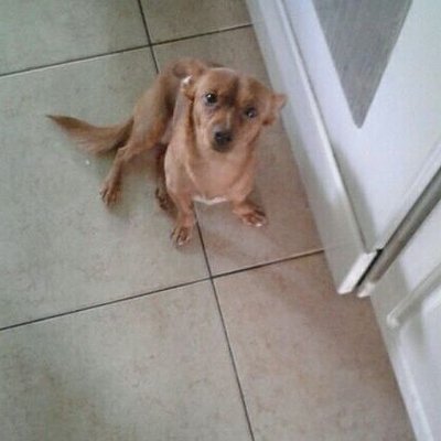 Profile Picture of Darius Noel (@dariusnoel2k) on Twitter