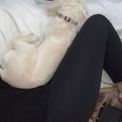 Vivian Ashley - Twitter Profile Picture of Vivian Ashley (@VivianA30933983) on Twitter