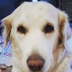 Profile Picture of Élisa Kwaczala (@ceci.est.mon.nom) on Instagram
