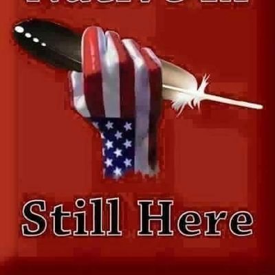 Profile Picture of Dan Nez (@DanNez5) on Twitter