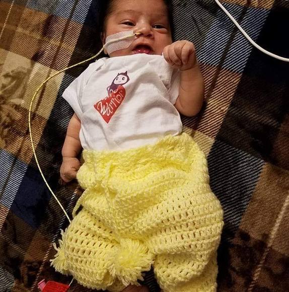 Profile Picture of Aidalila Velasquez (@mydolphins01) on Poshmark