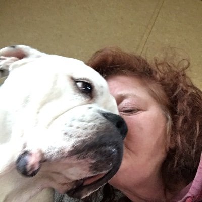 Profile Photo of Mary McFadden (@MaryMcF47751621) on Twitter