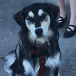 Profile Picture of Tanya Charambura Vogt (@tcv71) on Instagram