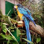 Profile Picture of Matthew Vallance (@mattvallphotography) on Instagram