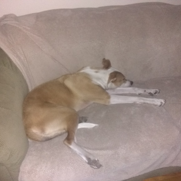 Profile Picture of Ryan Allinger (@rygator) on Poshmark