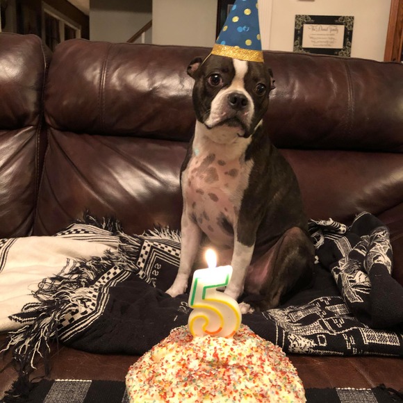 Profile Picture of Sharon Daniel (@jsajdaniel) on Poshmark