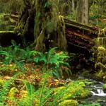 Profile Picture of Sherri_McCarthy (@sherri_mccarthym) on Instagram