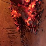 Profile Picture of ADAM Food + Fire (@adam_ixelles) on Instagram