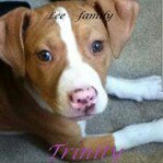 Profile Picture of Trinity Lee (@trin_trin245) on Instagram