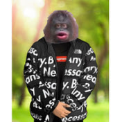 Profile Picture of Frost Wennerstrom (@frostwennerstrom6127) on Youtube