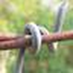 Profile Picture of Aaron L (@ablipton) on Flickr