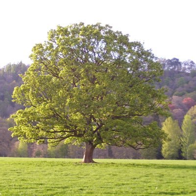 Profile Picture of Vicky Marshall (@VickyLM1234) on Twitter