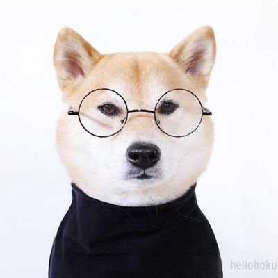 Profile Picture of Georgina Lucianne (@GeorLucianne) on Twitter