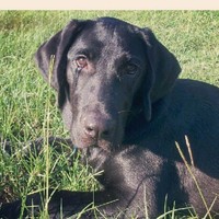 Profile Picture of Brandon Reeb (@brandon-reeb-4) on Quora