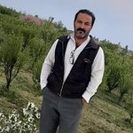 Profile Picture of amin.khalili (@amin.khalili57) on Instagram