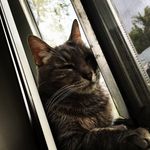 Profile Picture of Daniel Hazlett (@hey_its_danielhazlett) on Instagram