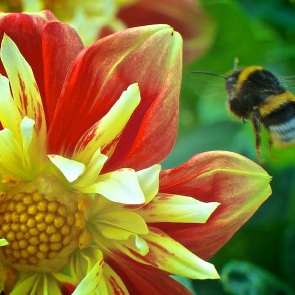 Profile Picture of Irina Eickmann (@irinaeickmann93) on Poshmark