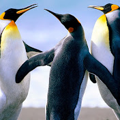 Profile Picture of Ivan Oliva (@ivanoliva7544) on Youtube