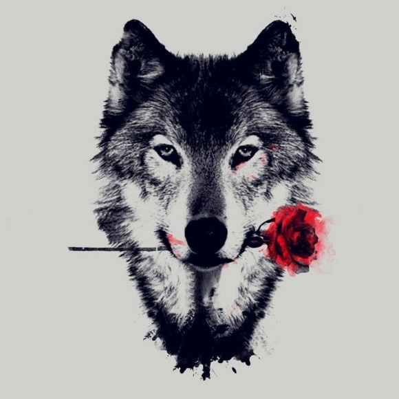 Profile Picture of Hiếu Nguyễn (@auth3ntic_store) on Poshmark