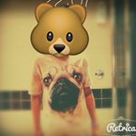 Profile Picture of jamiewhiting (@jamiewhitinggg) on Instagram