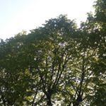 Profile Picture of Joseph Buysse (@josephbuysse) on Instagram