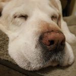 Profile Picture of Kevin Bozeman (@kevin.bozeman.355) on Instagram