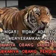 Profile Picture of ANDY RICKO (@ANDYRICKO4) on Twitter