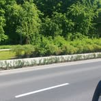 Profile Picture of Michał Pawelski (@Michal.pawelski221) on Facebook