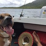 Profile Picture of James Antunovich (@jamesantunovich) on Instagram