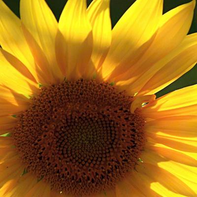 Profile Picture of Miriam Jauregui (@mmiriammm25) on Twitter