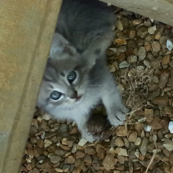 Jalynn Smith - Poshmark Profile Picture of Jalynn Smith (@jalynnsmith) on Poshmark