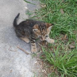 Profile Picture of Andrea Ines Vander (@ines_vander) on Twitter