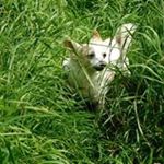 Profile Picture of Manon Pekelharing (@manonpekelharing) on Instagram